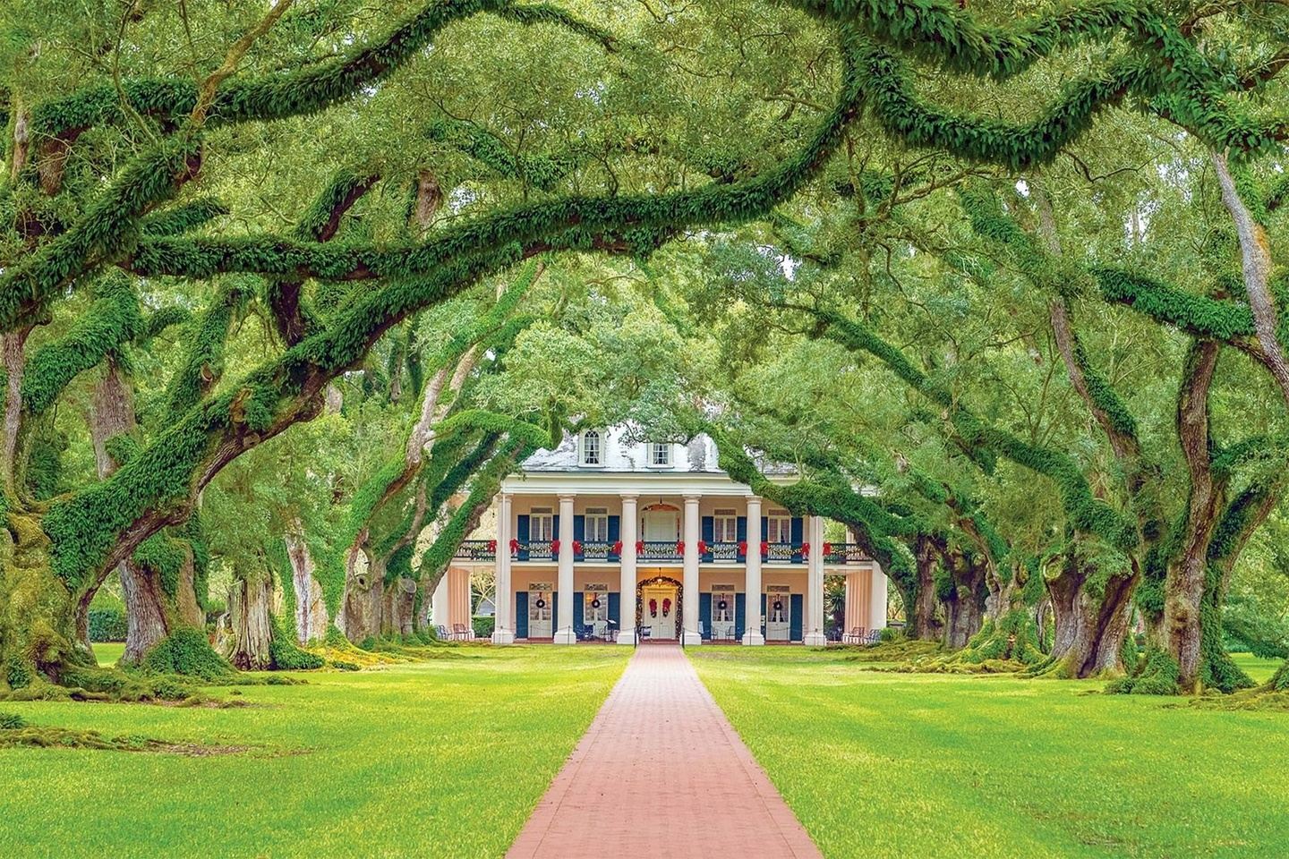 Historic South & Golden Isles Cruise