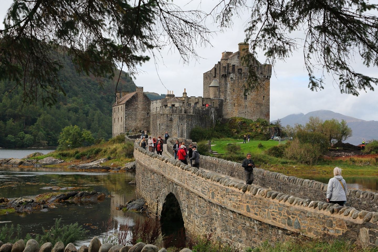 8 Day Mindfulness in Nature & Forest Therapy Retreat in Scotland
