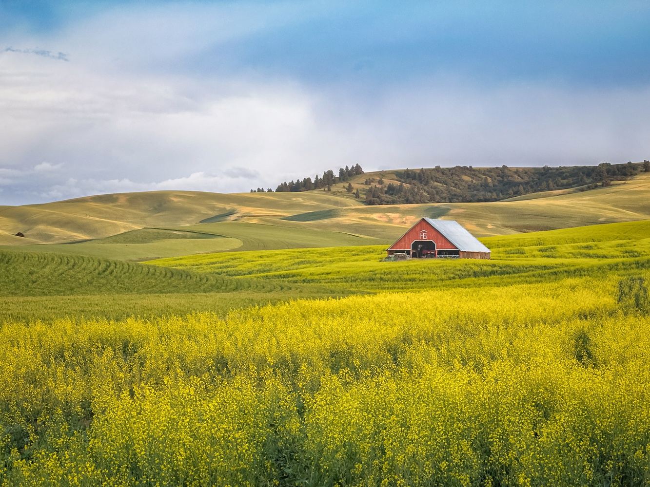 Lush Palouse 2027!