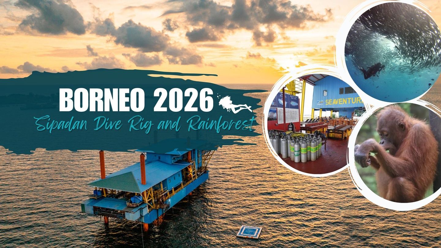 Sipadan Dive Rig and Rainforest Adventure 2026
