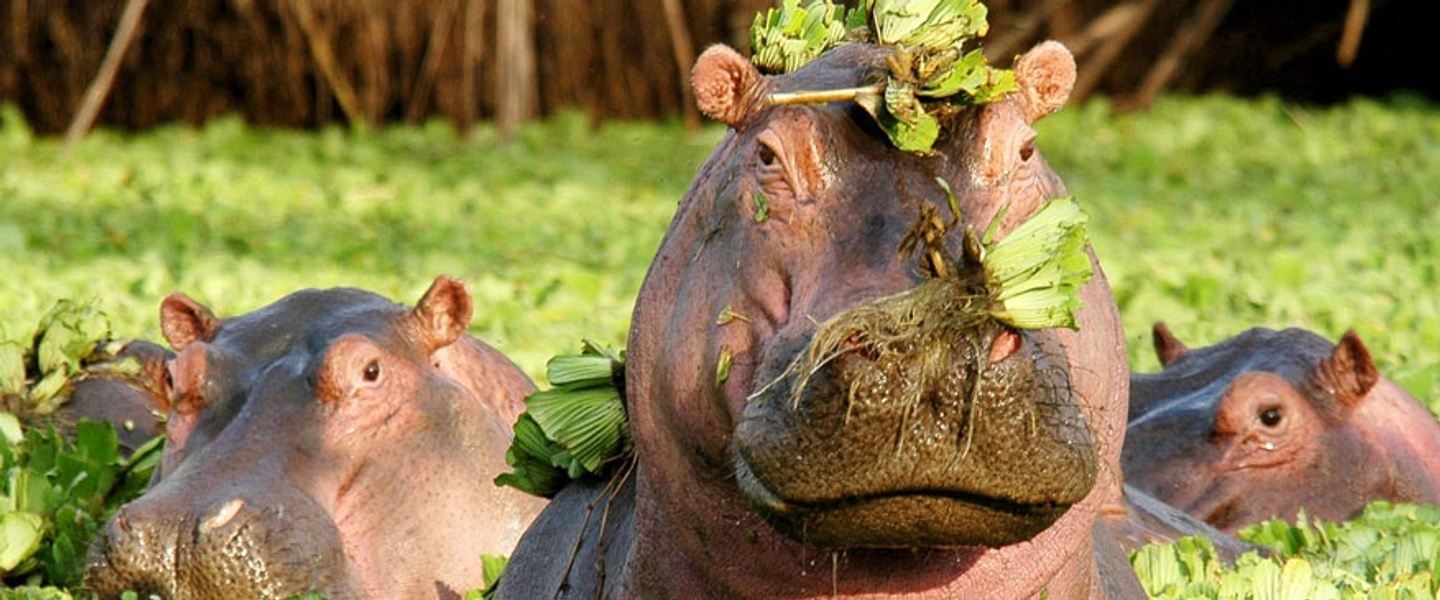 Ngorongoro Crater & Serengeti - 3 day/2 Night Safari