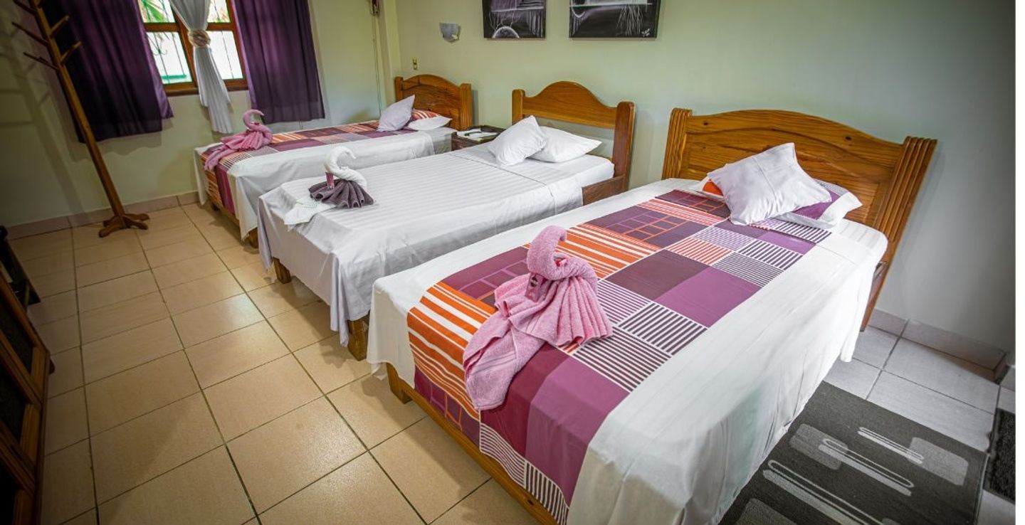 Triple Room (Three guests)
