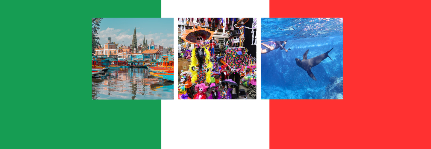 Mexico Summer Adventure