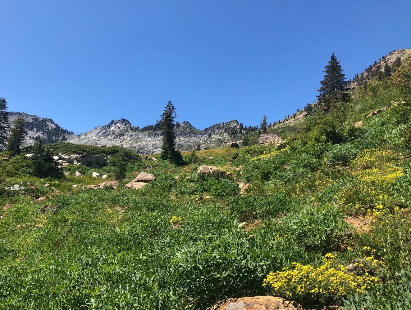 Trinity Alps Women's Backpacking Trip