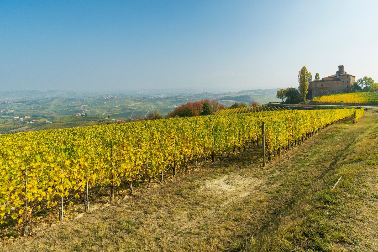 Piedmont Mini Cycling September 2026