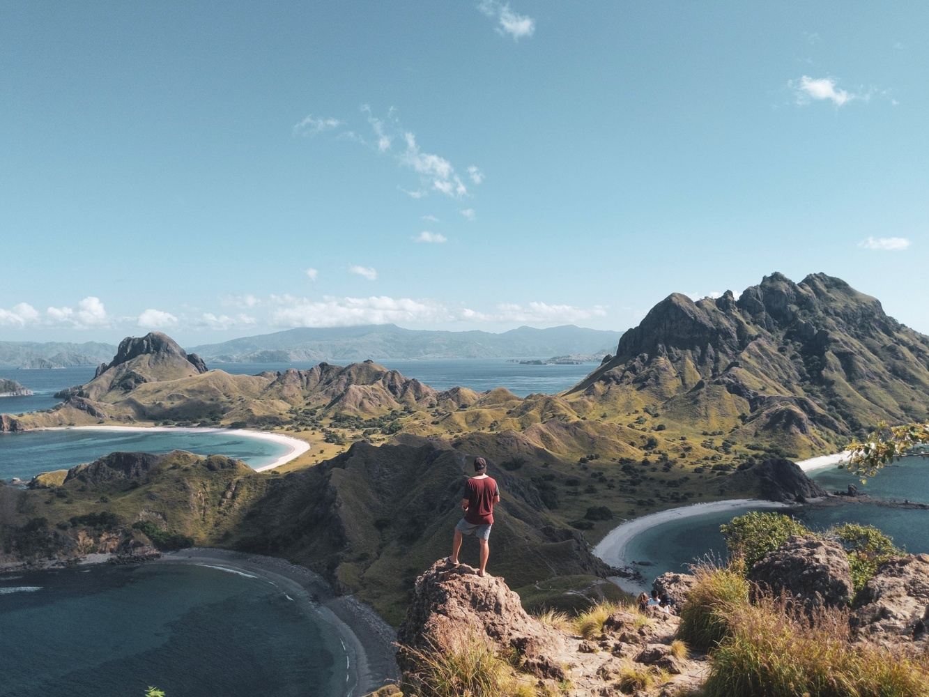Komodo Dragons & East Timor