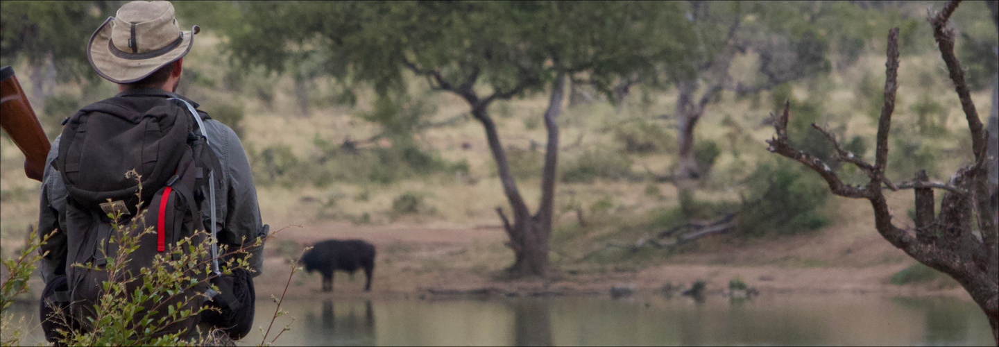 Balule (South) 5-day Walking Safari