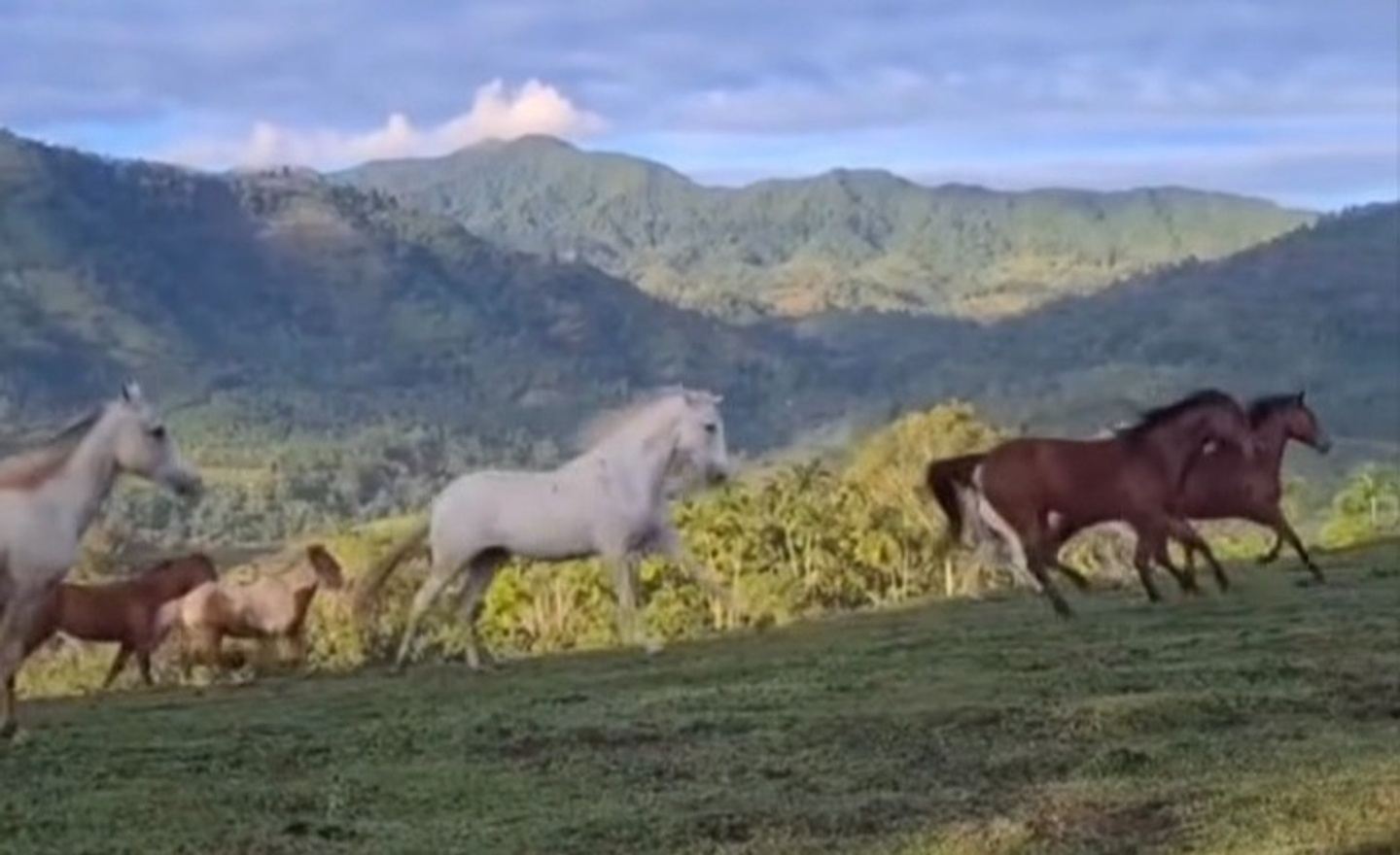 Autumn Equinox Retreat: Healing Horse Herd & The Art of Liberty