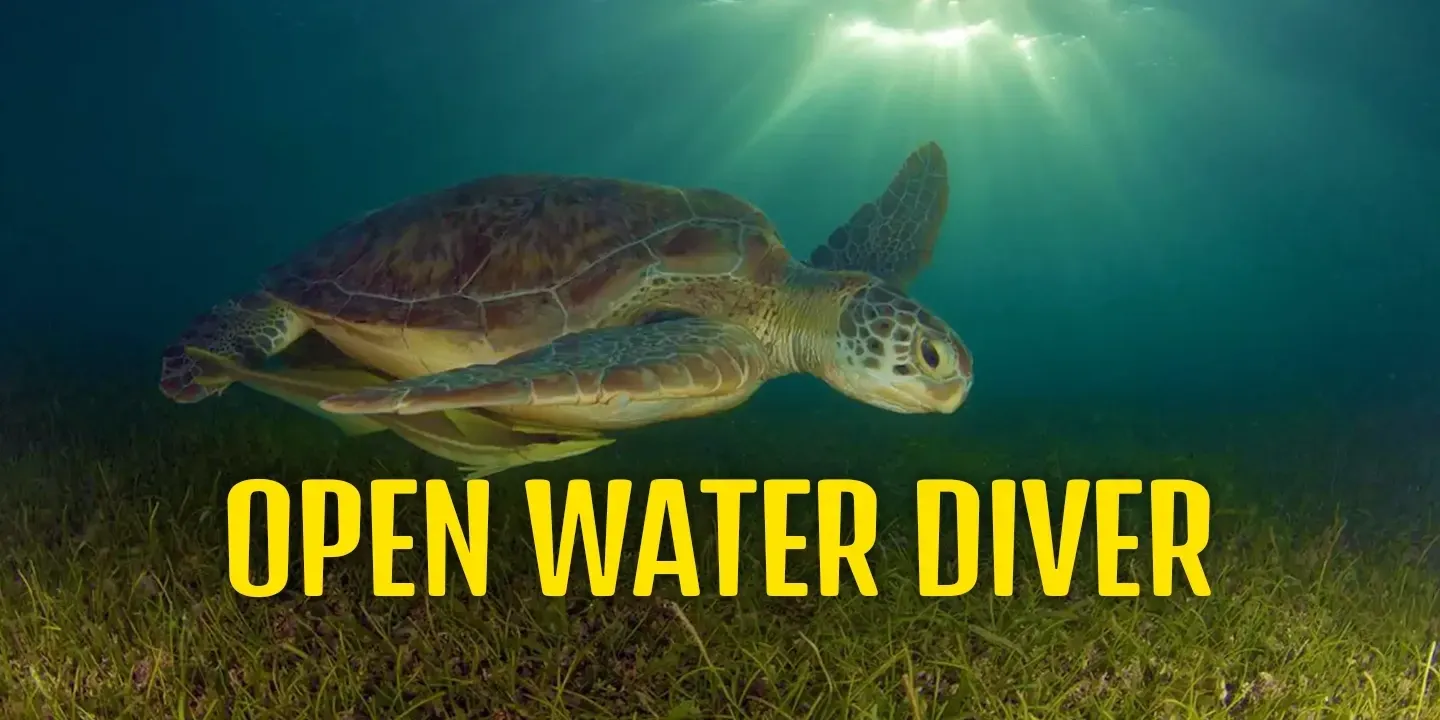 Pasku Dive - Open Water Diver Course