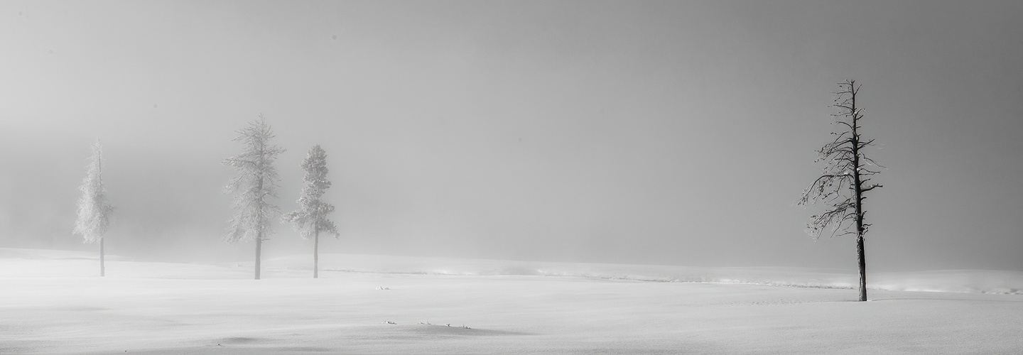 Winter Inside Yellowstone