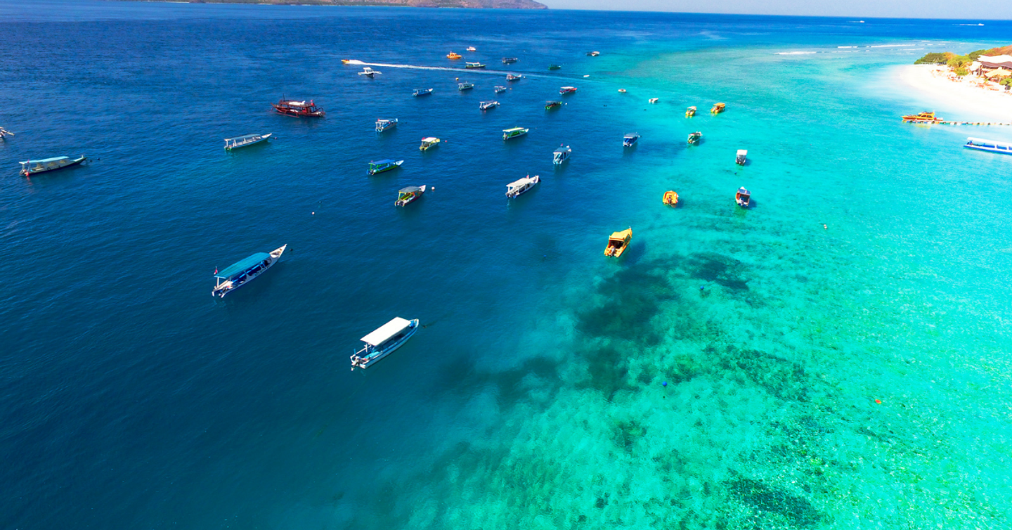 Professional Exchange Program: Gili T 2027