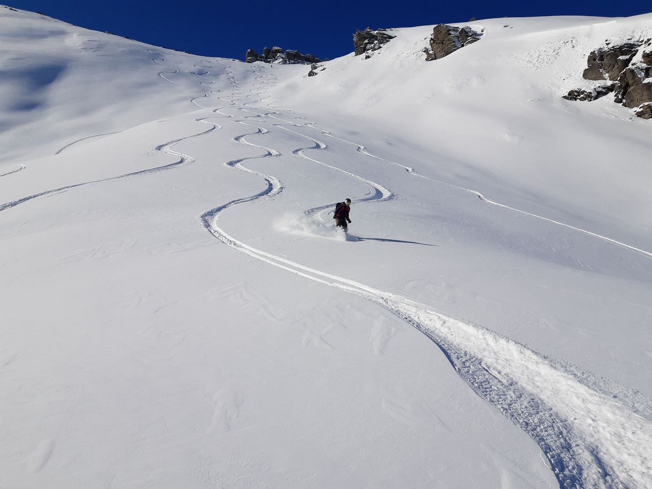 Wanaka Backcountry Day Tour