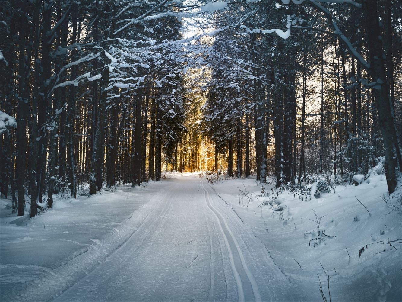 Snow and Solitude
