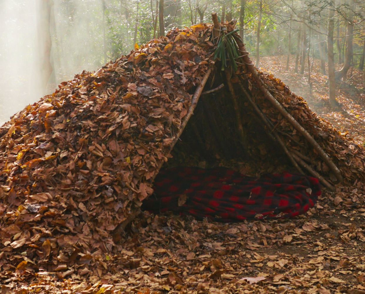Wilderness Survival Retreat