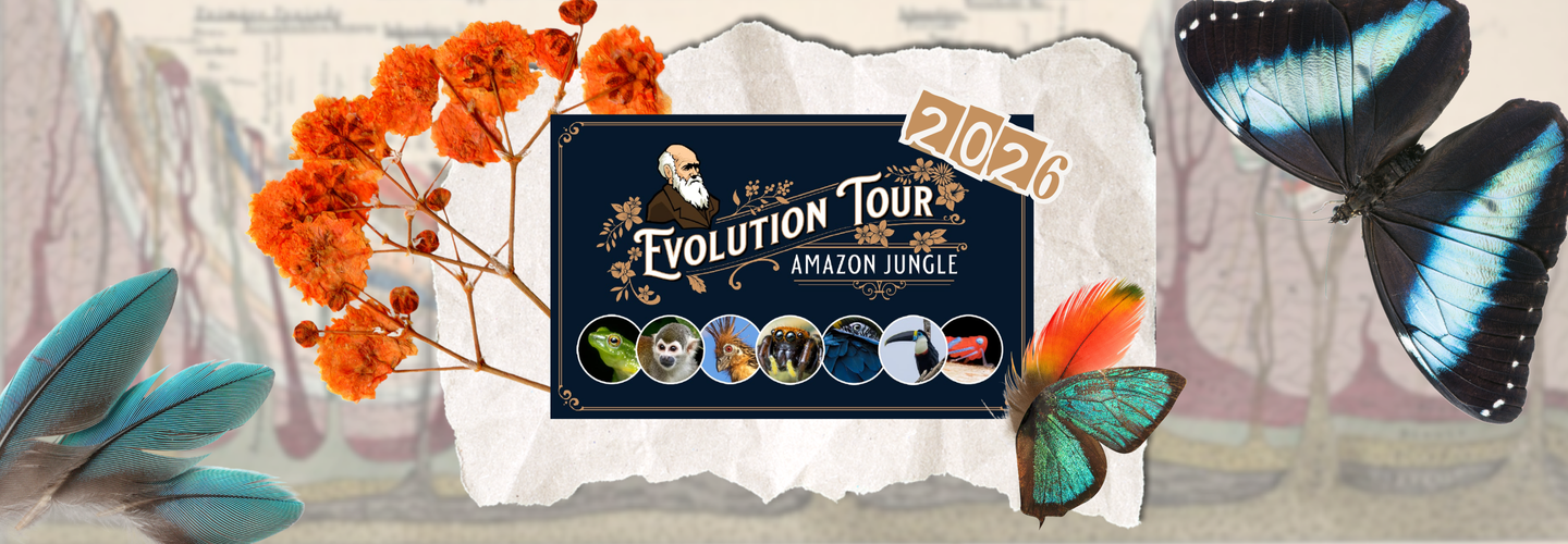 EvoTour 2026