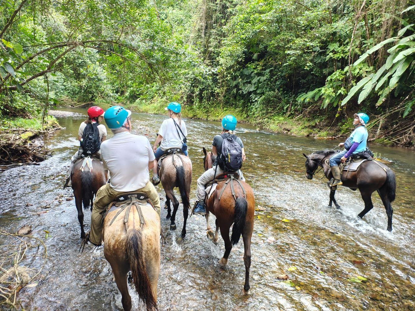 Horseback Riding Tour