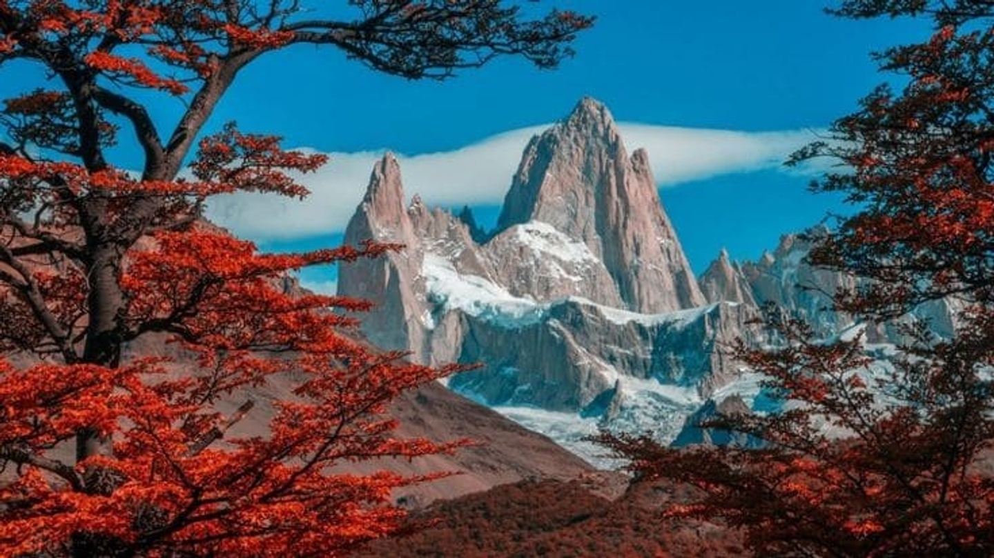 Highlights of Los Glaciares National Park