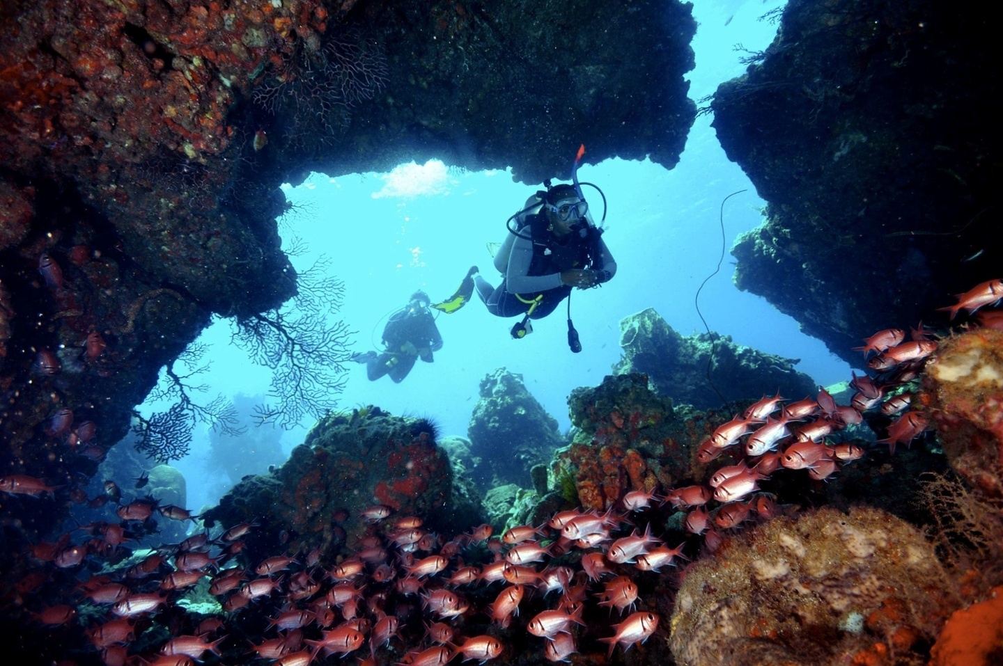 Dominica by Land and Sea!