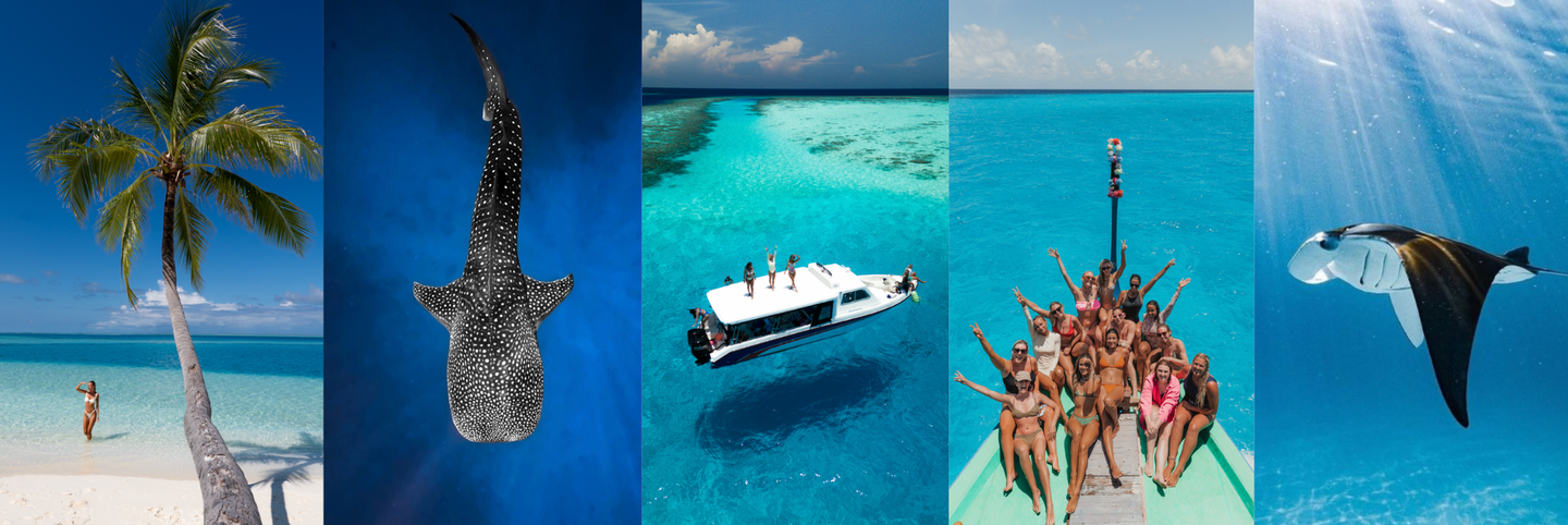 SALTY LUXE - MALDIVES OCEAN EXPEDITION 2027