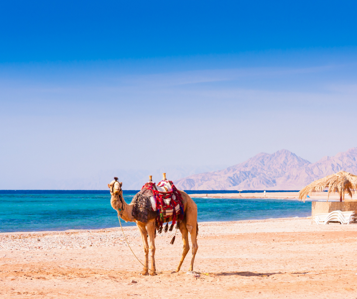 Sand & Sea | 10-Day Experience | Group Trip III: July 2025