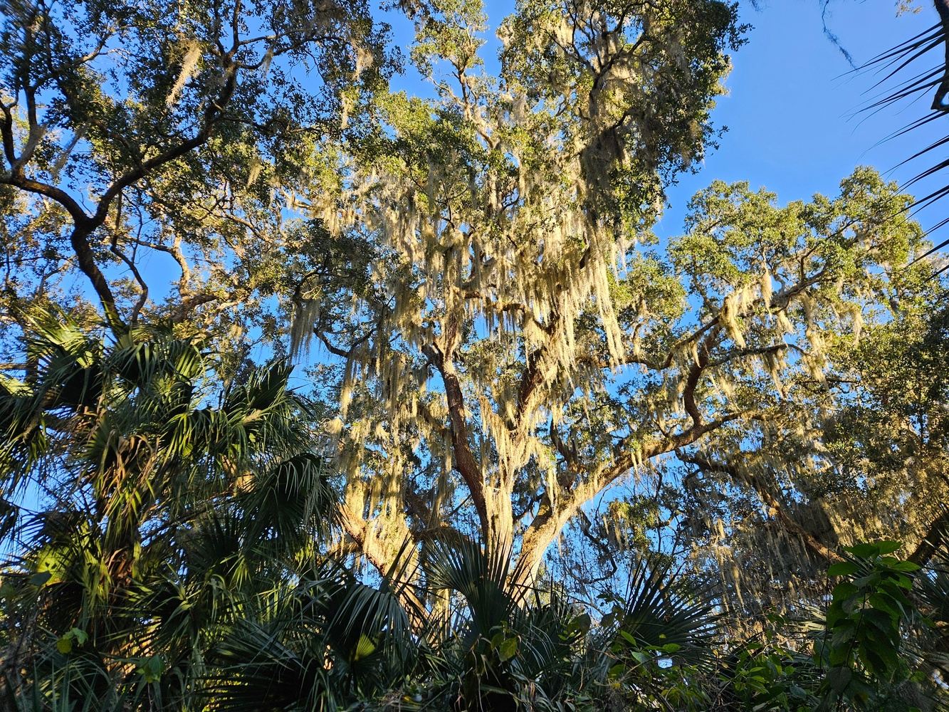 Gathering & Grounding: An Autumn Retreat