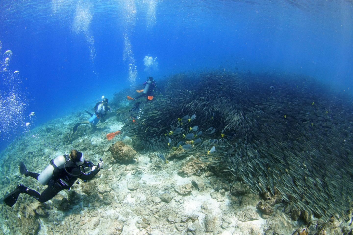 Discovery Diving Tour for Rita & Sebastian