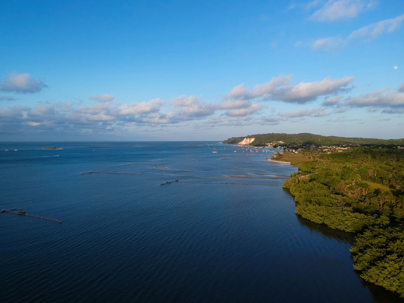 Retiro Ecomorro: Bienestar, Naturaleza e Inversión Consciente