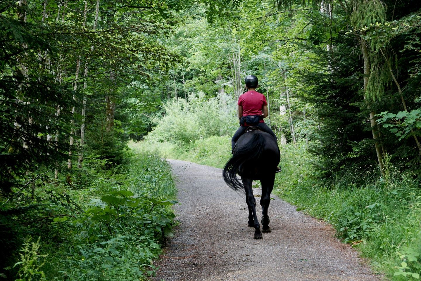 Horseback Riding Half-day trip