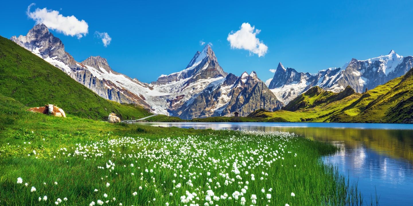 Switzerland Yoga and Adventure Retreat