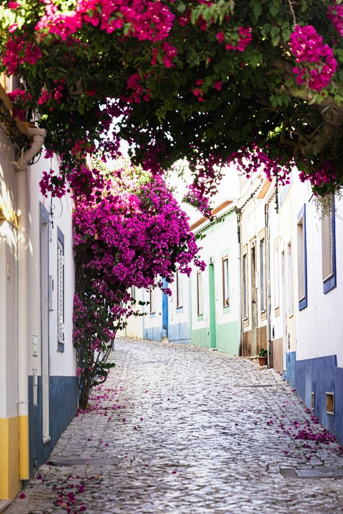 Algarve, Portugal Culinary Adventure - Spring 2027