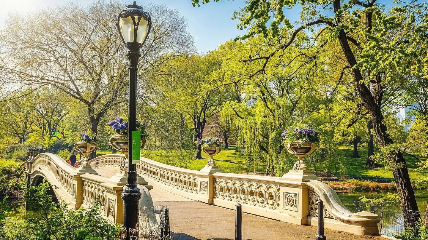 Ma’wa NYC Walk, Run or Ride: A Nature Day in Central Park