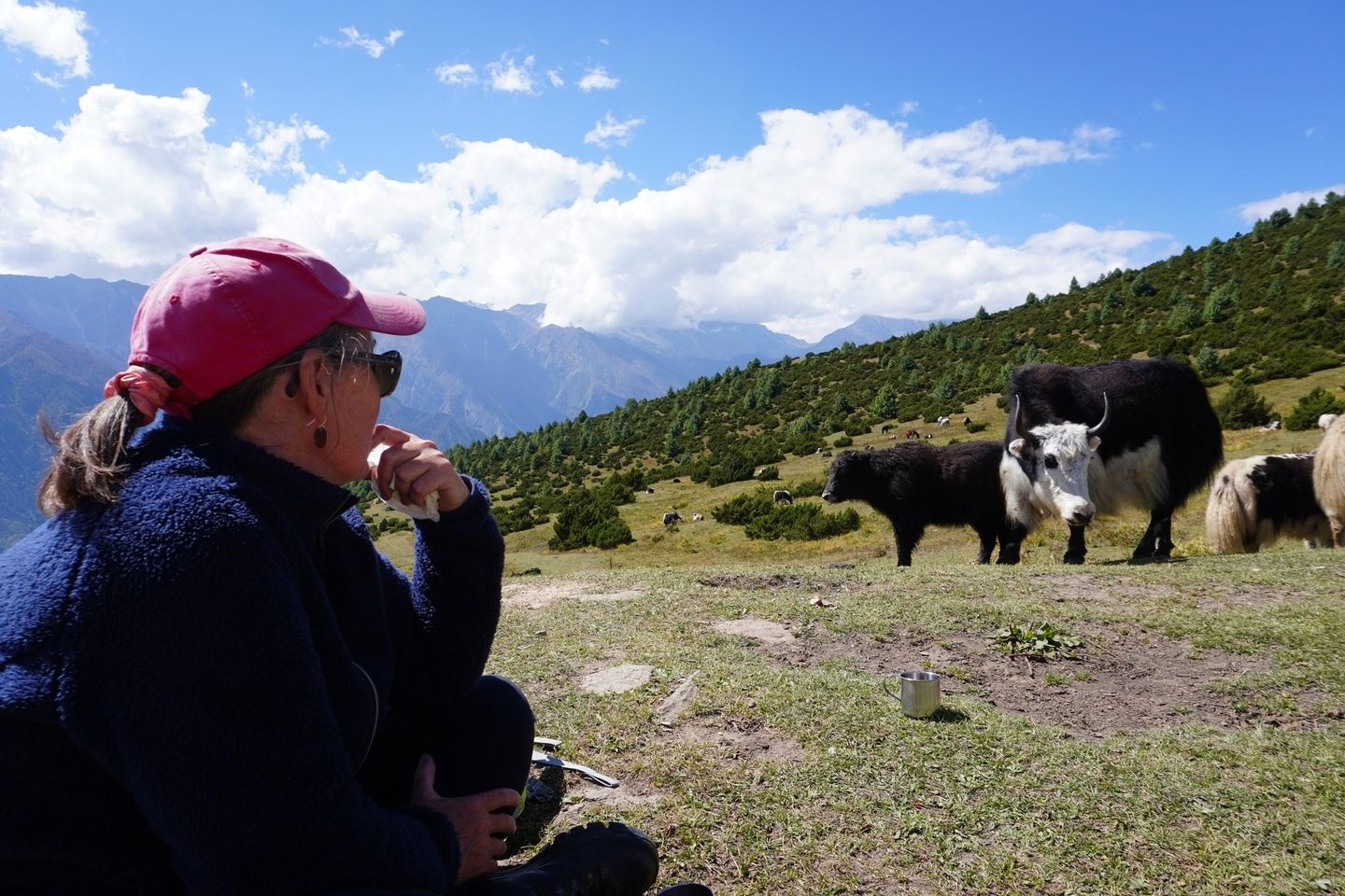 Sacred Lanscape of Nyin valley