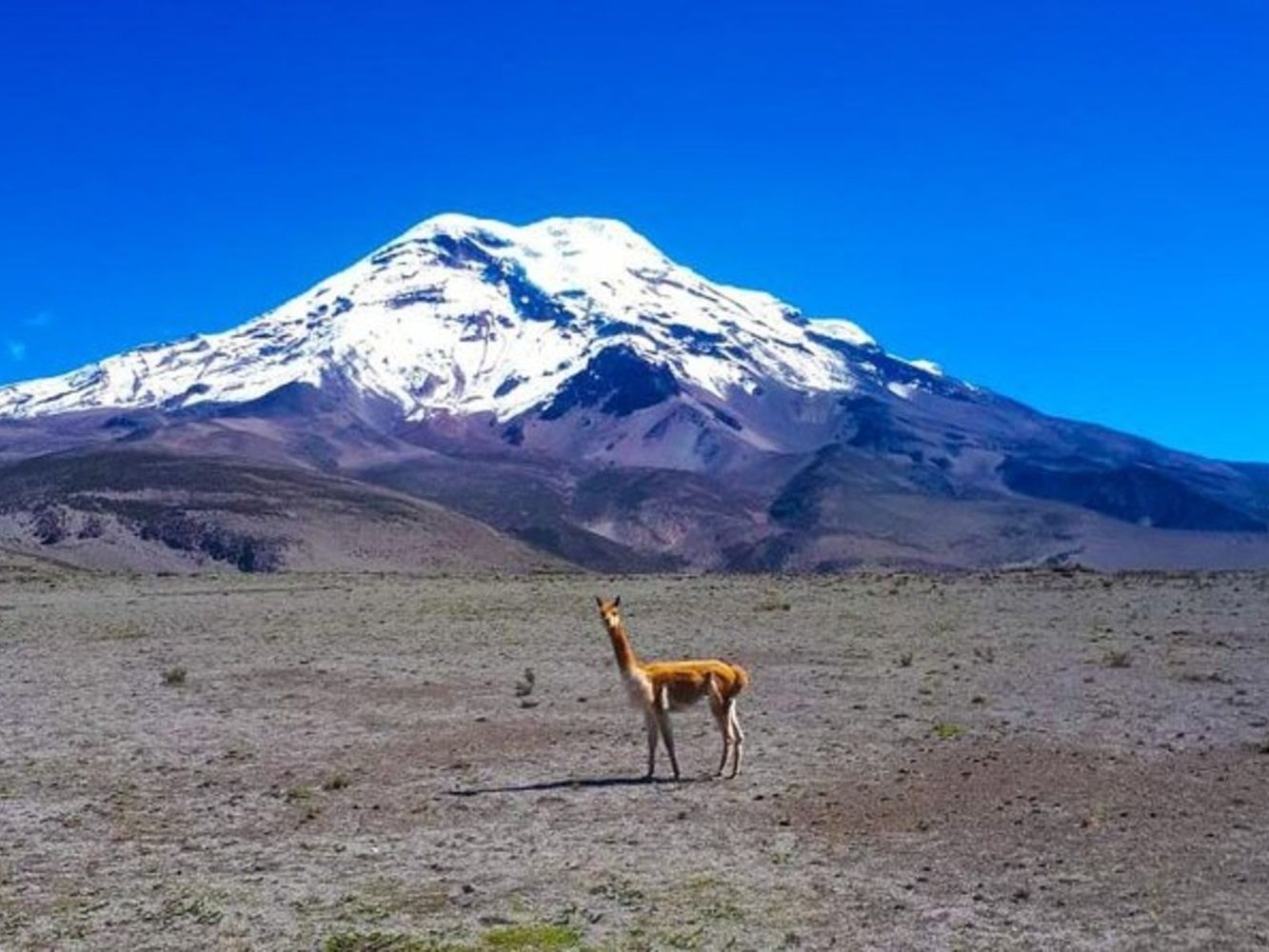 ASCENSO A LOS ILLINIZAS - CHIMBORAZO 3D / 2N