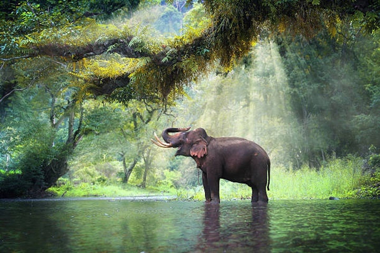 Explore Thailand's Delights