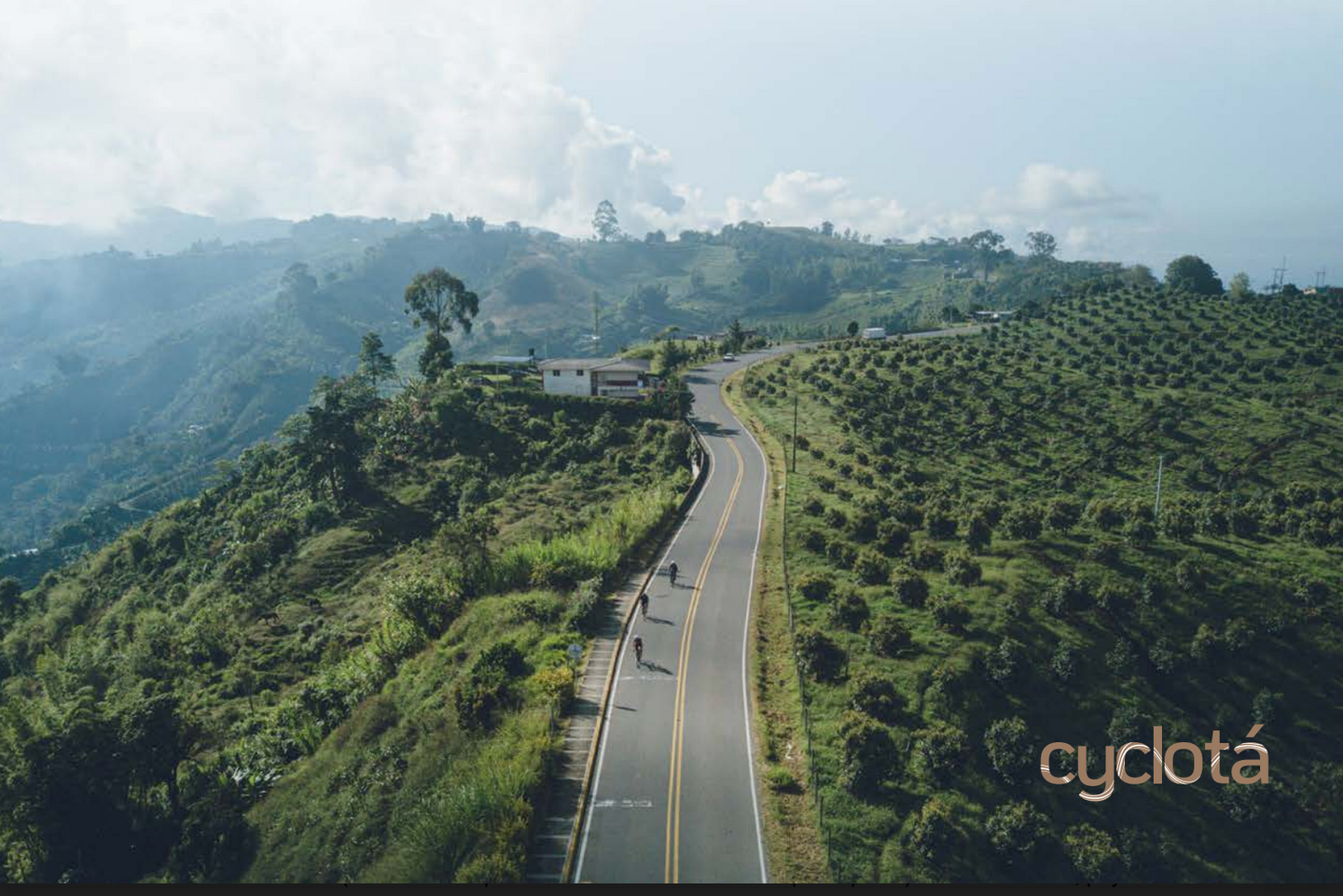 Escarabajos  - Climb like a Colombian Beetle