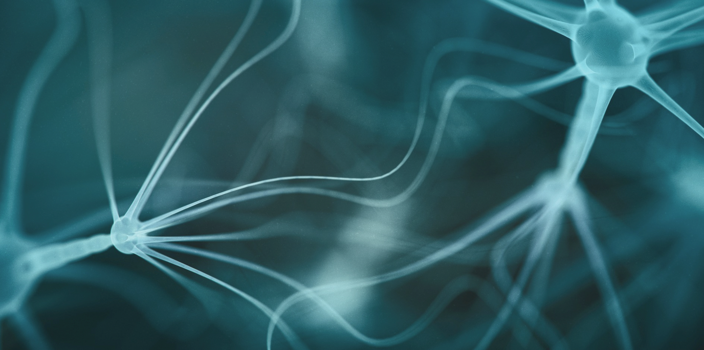 Graceline Institute // Nervous System 4-Week Cohort