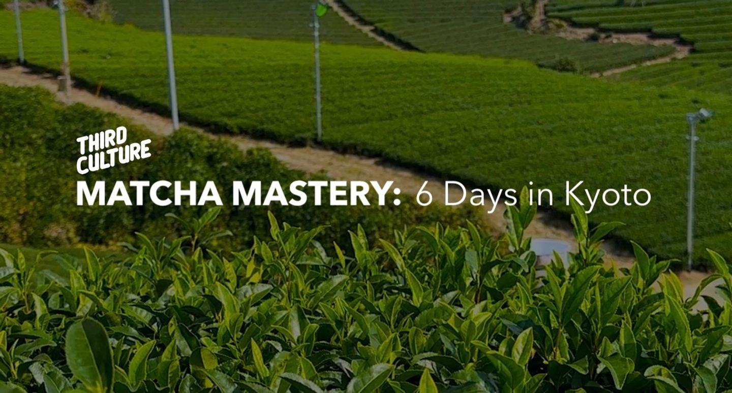 Matcha Mastery 2027: 6 Days in Kyoto of Taste, Craft, and Tradition