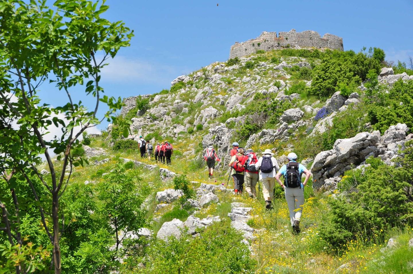 Montenegro’s Coastal Tapestry: Walking Adventures in the Bay of Kotor