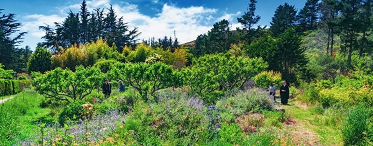 Fall Renewal Day Retreat
