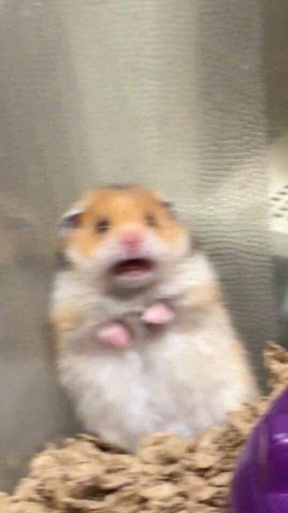 aaa