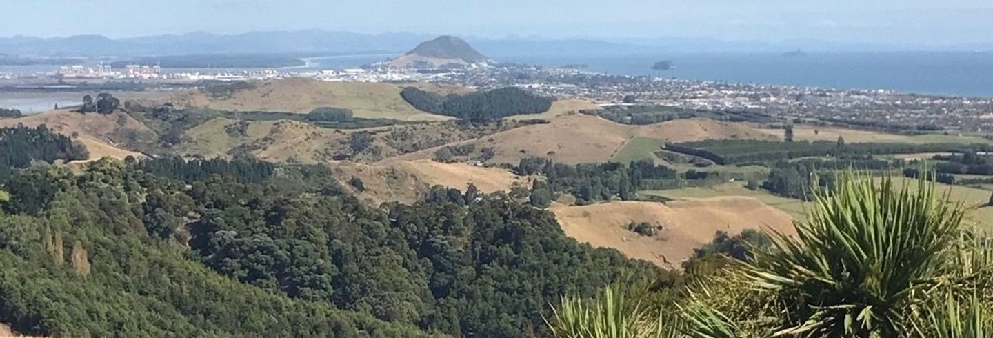 Papamoa Hills Experience