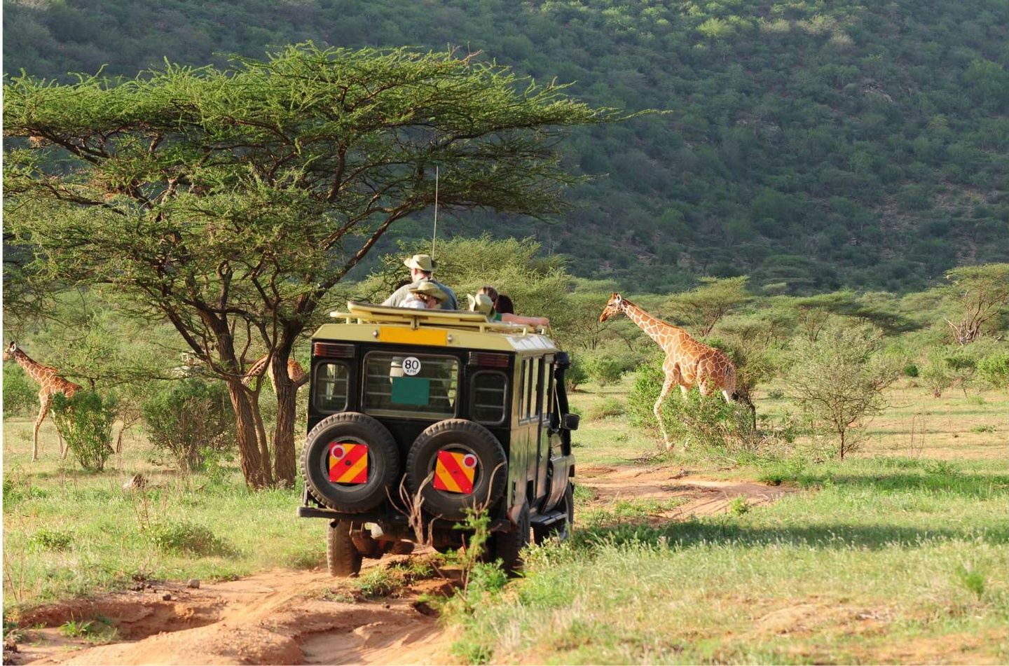 Kenya 2027:  Discover Creation in the Wonders of Africa (11 Days)
