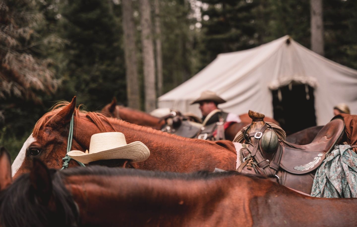 Full Day Extreme Horseback Ride