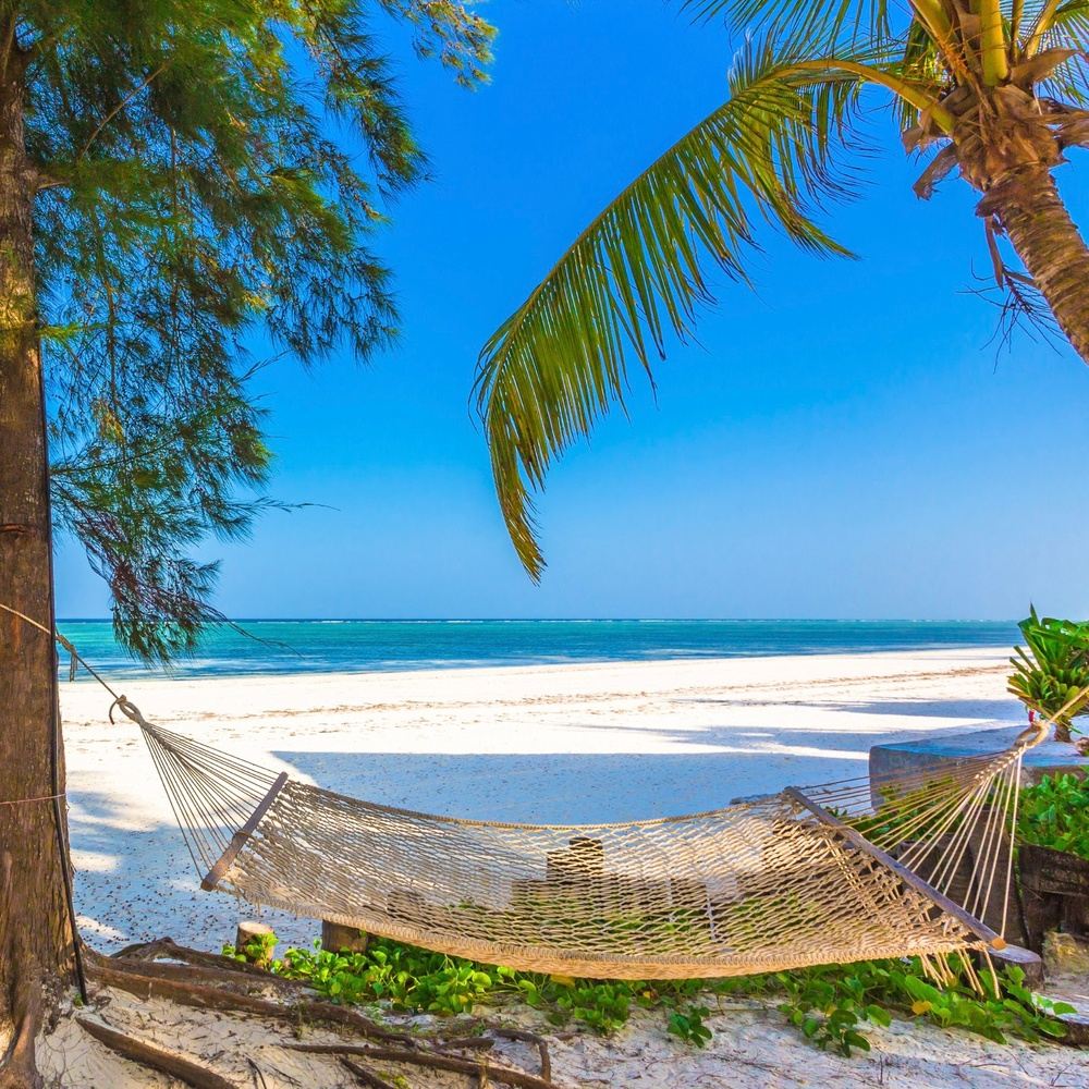 Consecrate Out of the Box: Turks and Caicos 2025