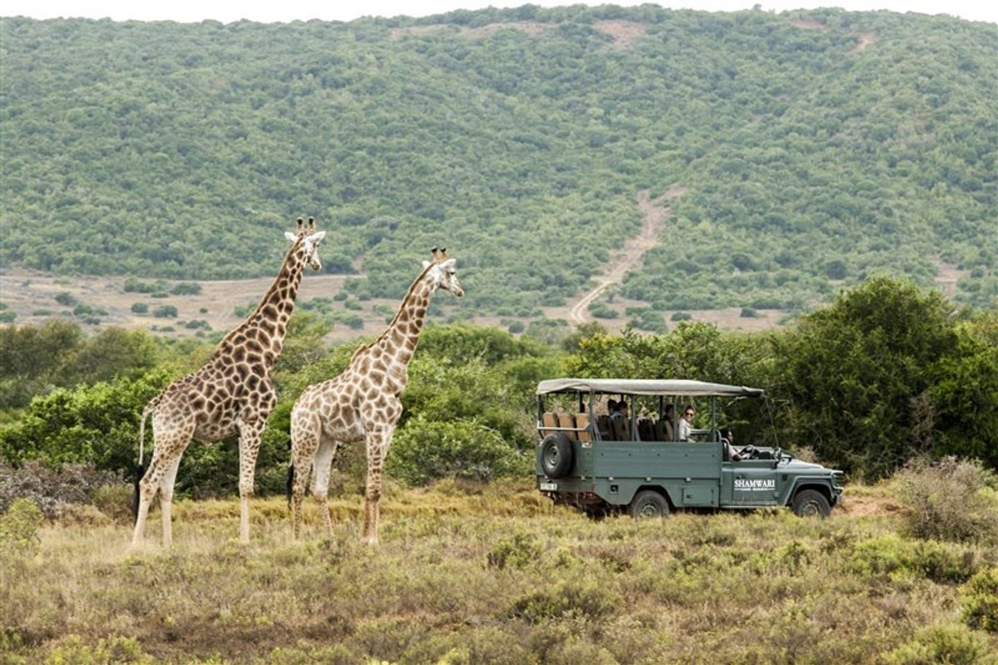 14-day South Africa Highlights Tour