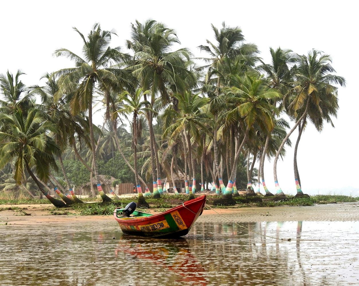 Full guided Accra Authentic City Tour Experience