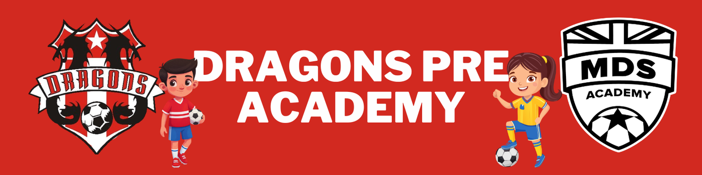 Dragons Pre Travel Academy - Spring