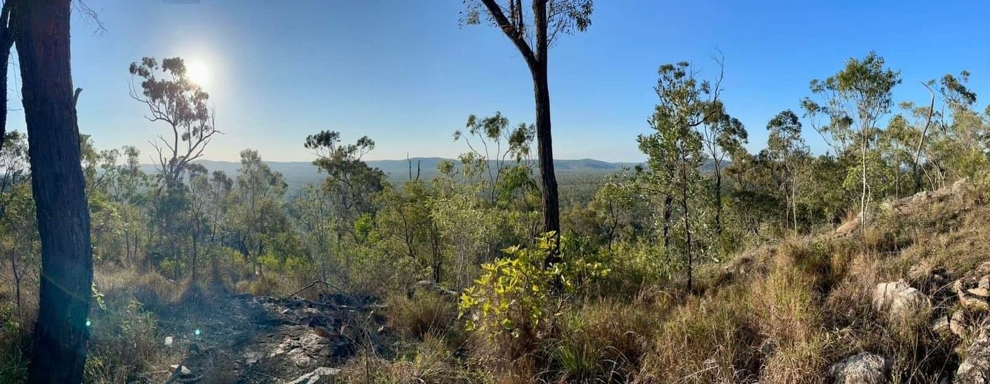 Dad & His Wildlings Weekend