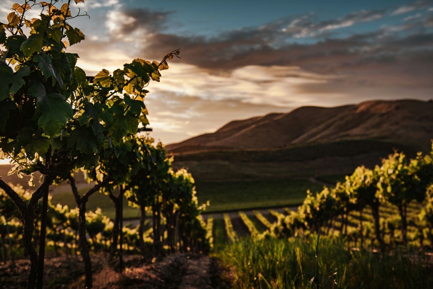 8-Day Cape Town & Cape Winelands Experience