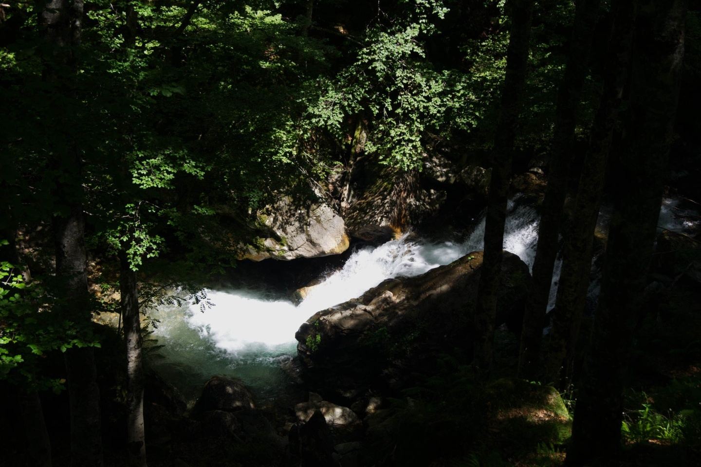 Hike, Dip and Yoga Retreat